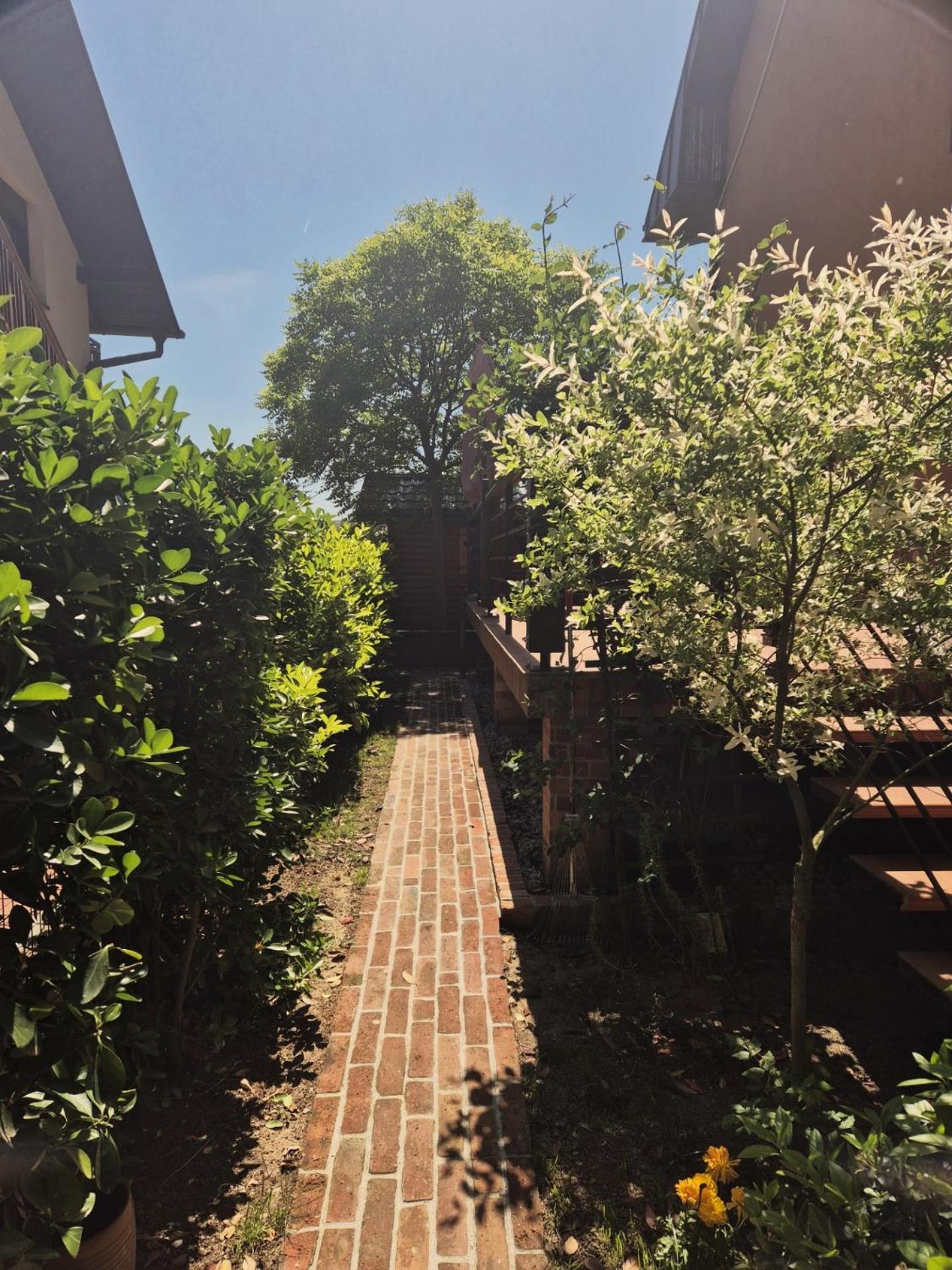 Eden Apartment Sveta Nedjelja  المظهر الخارجي الصورة